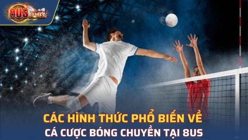 Các kèo thông dụng nhất đang được áp dụng trong sảnh Bóng chuyền tại 8US