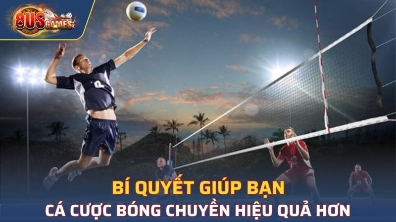 Một vài bí quyết để cá cược Bóng chuyền dễ thắng hơn 