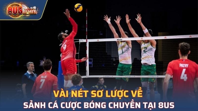 Vài thông tin cơ bản về cá cược Bóng chuyền tại 8US 