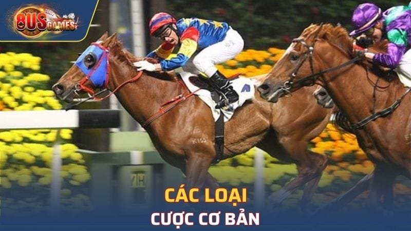 Các loại cược cơ bản