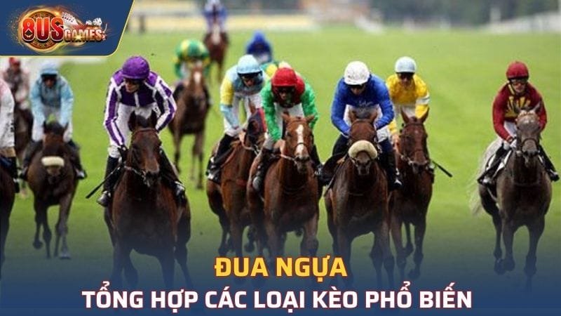 Đua Ngựa - Tổng Hợp Các Loại Kèo Phổ Biến Được Yêu Thích