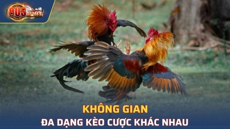 Không gian đa dạng kèo cược khác nhau