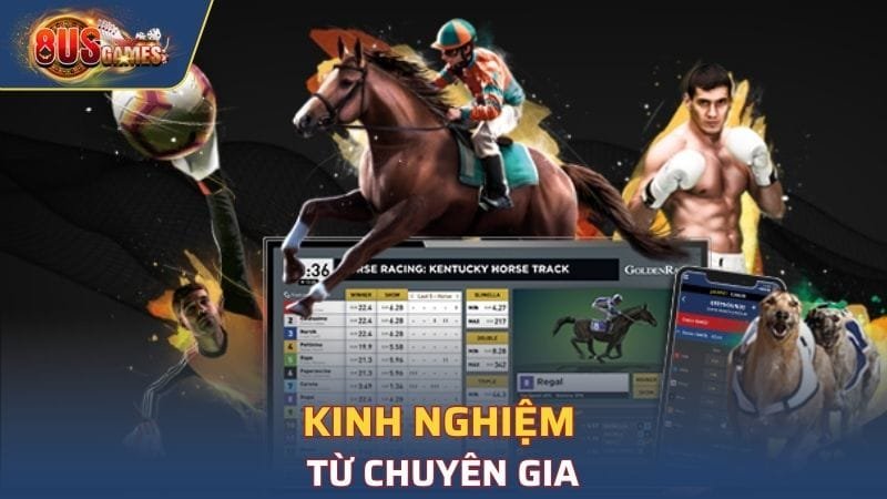 Kinh nghiệm từ chuyên gia