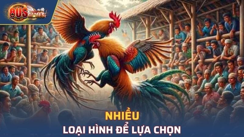 Nhiều loại hình để lựa chọn