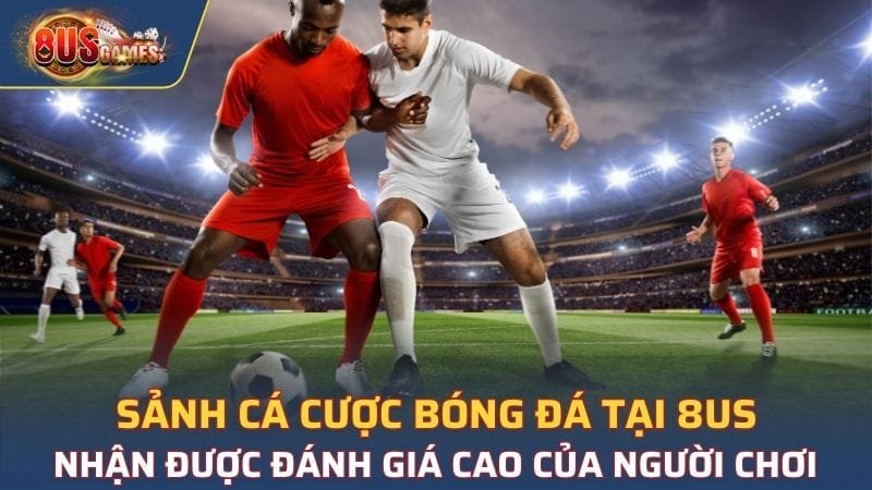 Sảnh cá cược bóng đá nhận được đánh giá cao của người chơi