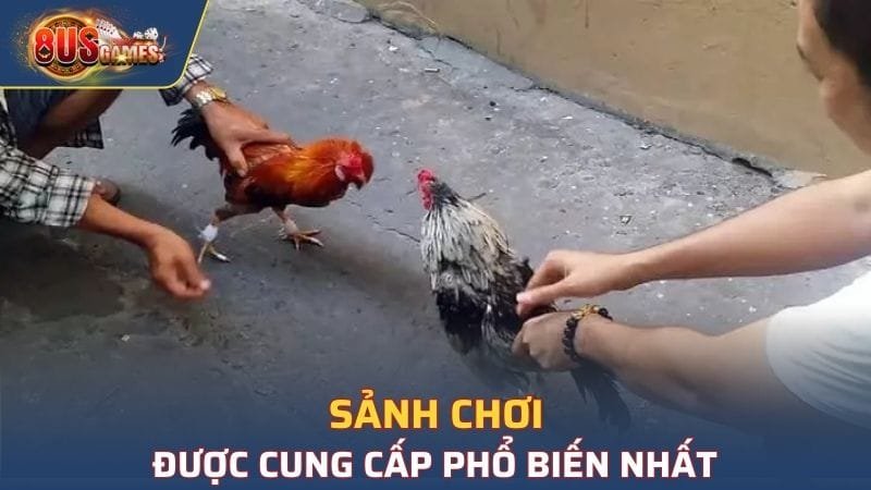 Sảnh chơi được cung cấp phổ biến nhất