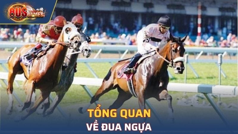 Tổng quan về đua ngựa